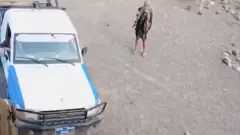 شاهد.. مدير أمن حوثي يقتحم...