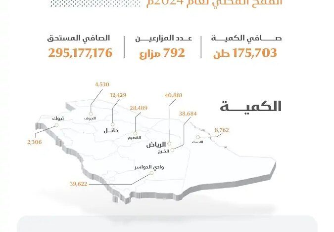 منصة محصولي.. توريد الدفعة الأولى من القمح والهيئة تعلن إيداع مستحقات المزارعين المحليين