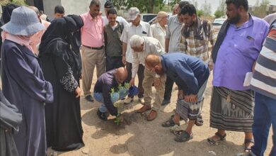 مركز المرأة للدراسات والتدريب والتنمية المستدامة بجامعة لحج يدشن مبادرة ازرع شجرة عمر وطن