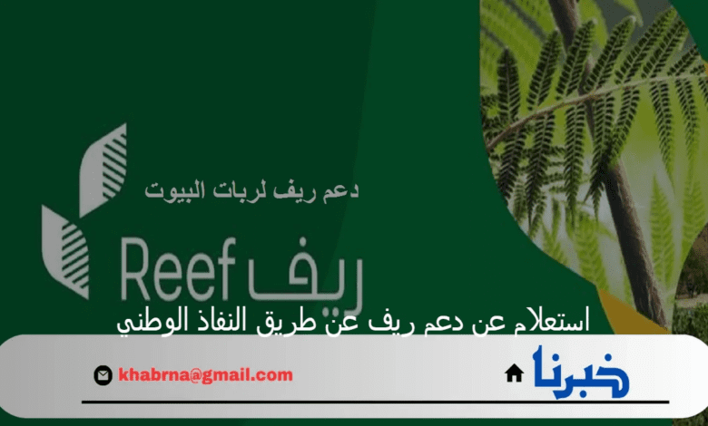 البيئة والزراعة توضح خطوات استعلام عن دعم ريف عن طريق النفاذ الوطني الموحد