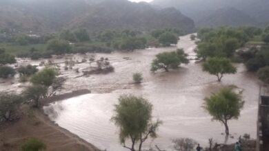 ما دور الجهات المختصة والمنظمات من اضرار السيول التي لحقت بوادي وصر جيشان ؟