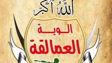 مصدر في قوات العمالقة الجنوبية، يوضح بشأن القبض على أحد عناصر التخابر مع الحوثي في المخا