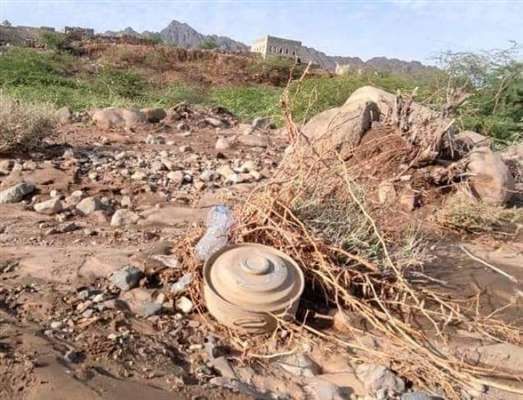 الحديدة.. إصابة مواطن وزوجته بانفجار لغم حوثي