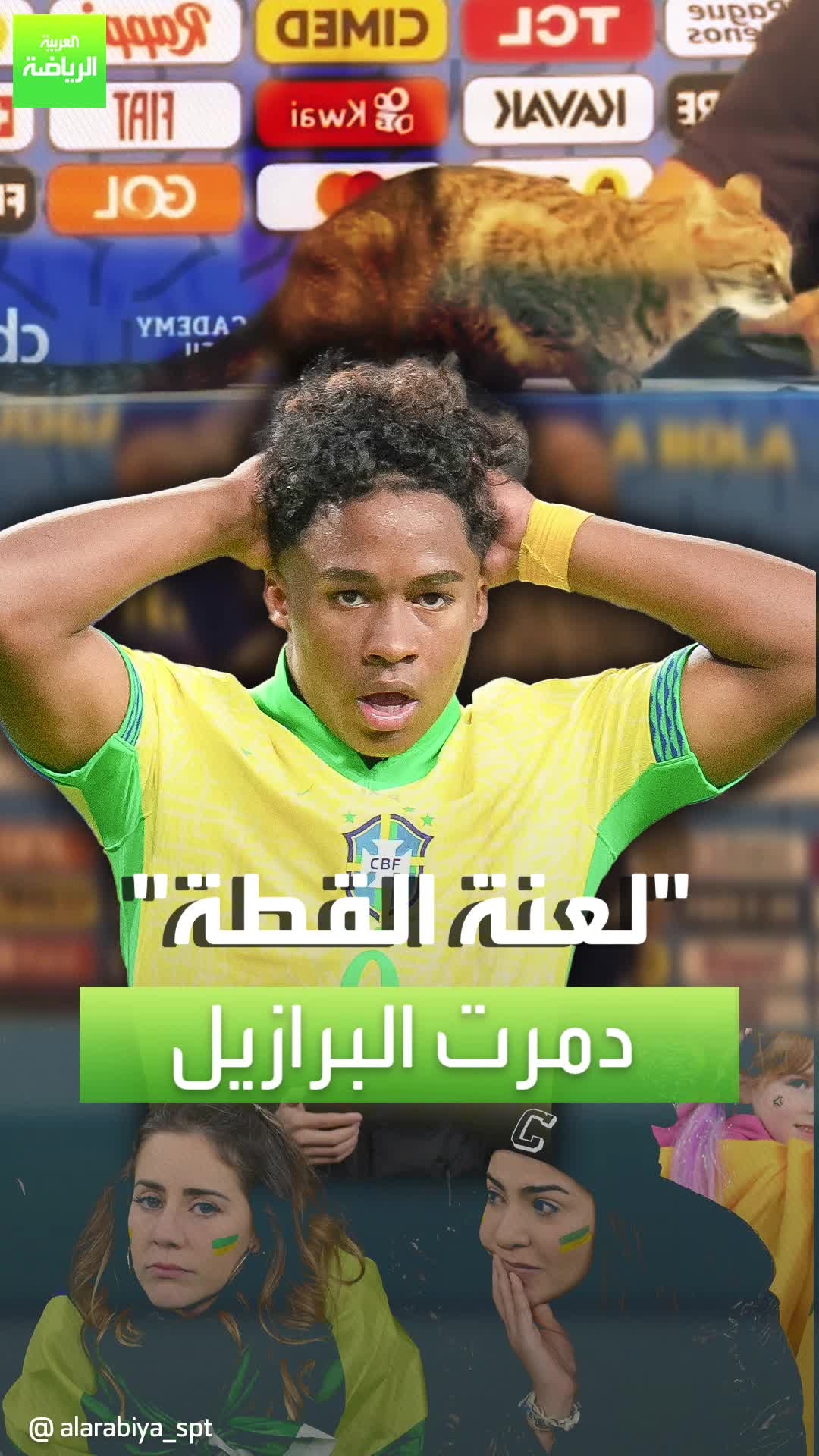 قطة خلف إخفاقات منتخب البرازيل.. تعرف على القصة  #sportsontiktok #copaamerica2024