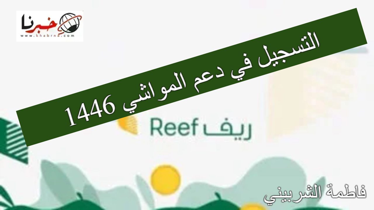 قدم حالاً.. خطوات التسجيل في دعم المواشي 1446 وأهم الضوابط الموضوعة عبر موقع reef-gov-sa