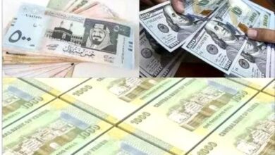 باحث اقتصادي يكشف عن تحركات لتوحيد العملة وكسر فارق الصرف