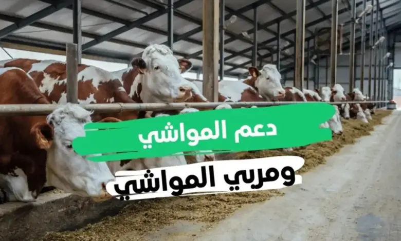 التسجيل في دعم المواشي الجديد 1446