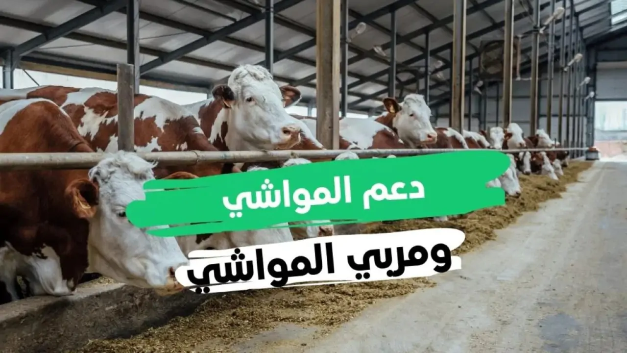 التسجيل في دعم المواشي الجديد 1446