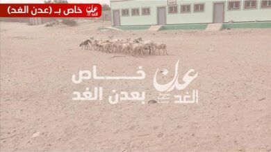 عصابة تسطو على مدرسة الثورة امبسطي بأحور