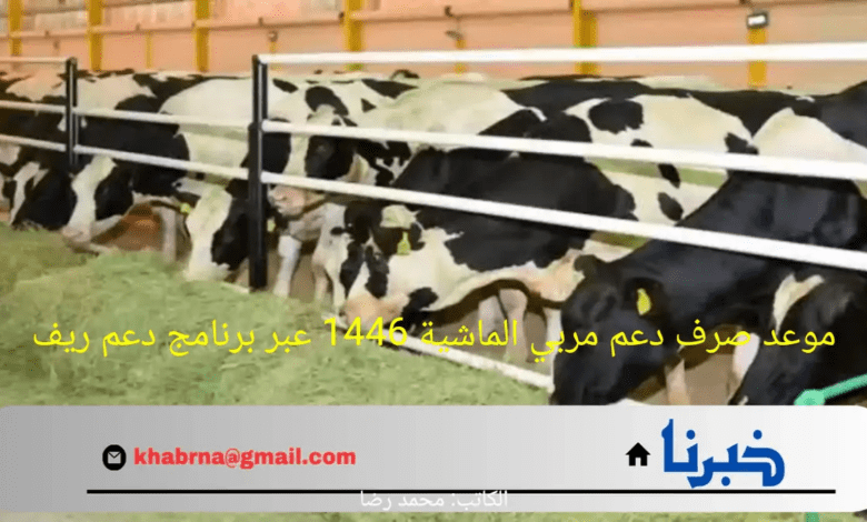 متى موعد نزول دعم ريف دفعة أغسطس؟.. وزارة البيئة والمياه توضح