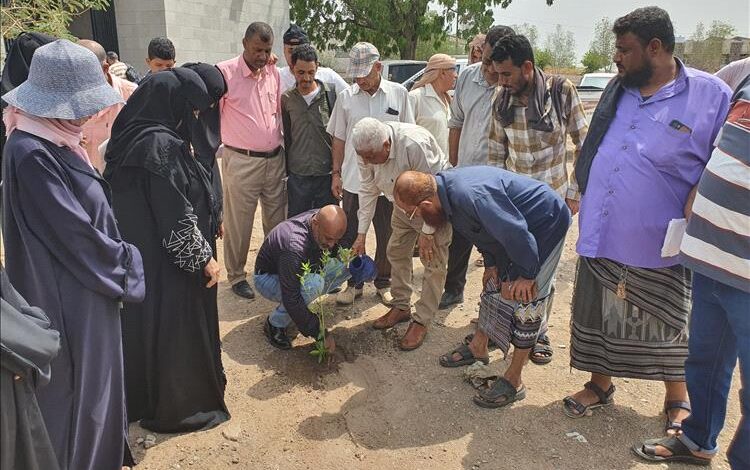 مركز المرأة للدراسات والتدريب والتنمية المستدامة بجامعة لحج يدشن مبادرة ازرع شجرة عمر وطن