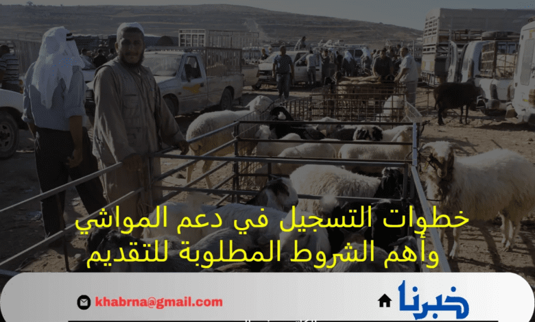 بالخطوات.. التسجيل في دعم المواشي 1446 وأهم الشروط المطلوبة للتقديم