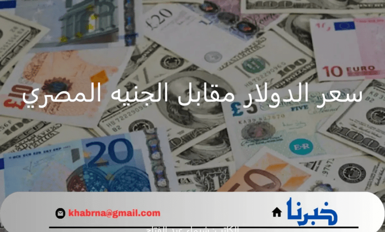 تحديث يومي.. سعر الدولار مقابل الجنيه المصري اليوم الخميس 8 أغسطس 2024