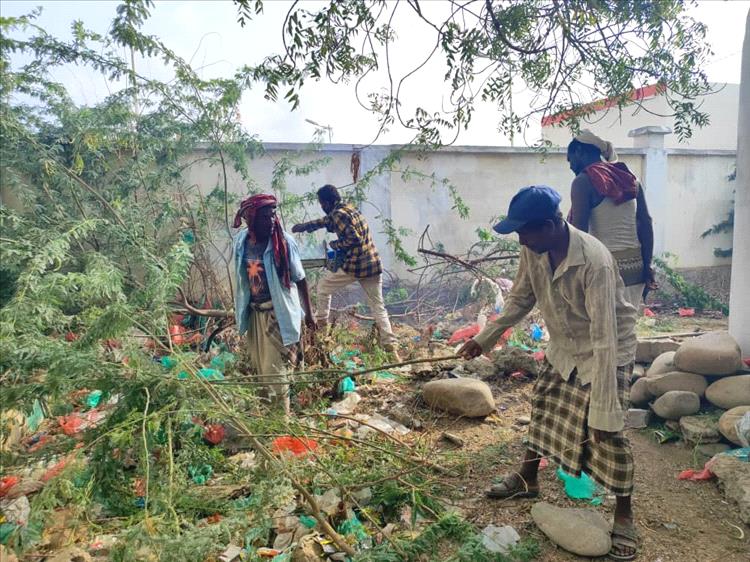 بالشراكة مع "ثمار الخير" .. صندوق النظافة والتحسين يدشن حملة نظافة واسعة وإزالة الأشجار الضارة بمدرسة الميثاق بأبين