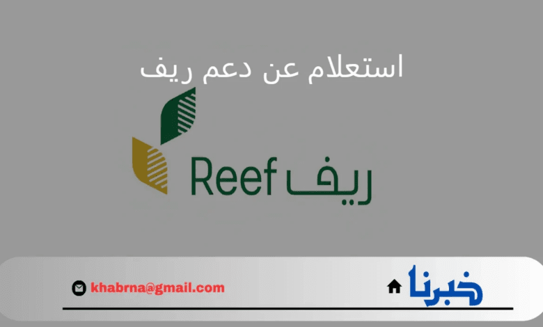 من هنا.. رابط reef.gov.sa استعلام عن دعم ريف 1446 برقم الهوية والشروط المطلوبة