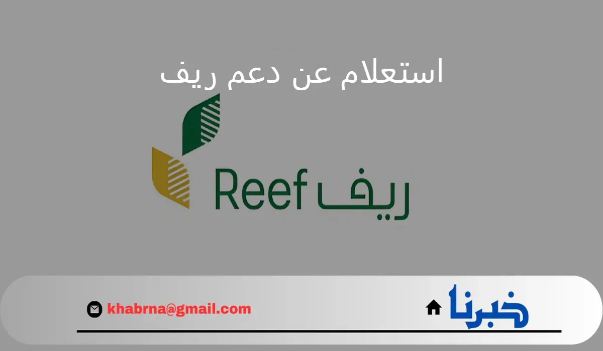 من هنا.. رابط reef.gov.sa استعلام عن دعم ريف 1446 برقم الهوية والشروط المطلوبة