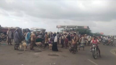 بعد إغلاقهم للطريق العام.. مدير عام مديرية زنجبار يوجه باعة المواشي للبيع بموقع السوق الجديد