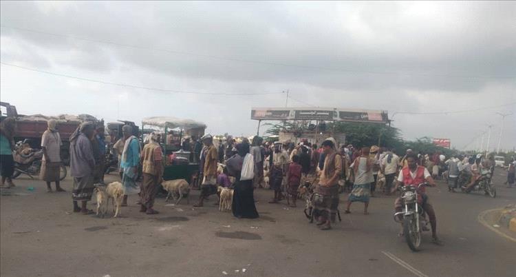 بعد إغلاقهم للطريق العام.. مدير عام مديرية زنجبار يوجه باعة المواشي للبيع بموقع السوق الجديد