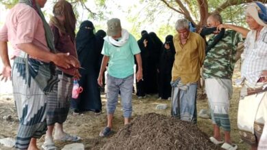 خبير زراعي ينتقد نظام "المدارس الحقلية" ويطالب بإعادة النظر في سياسات الإرشاد الزراعي..