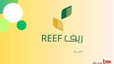 للتحقق من أهليتك.. رابط reef.gov.sa استعلام عن دعم ريف 1446