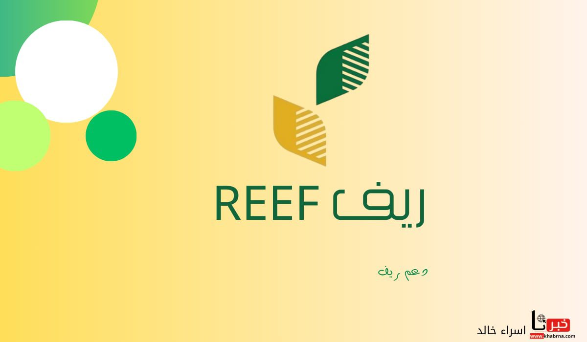 للتحقق من أهليتك.. رابط reef.gov.sa استعلام عن دعم ريف 1446