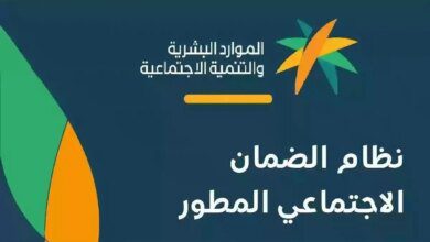 ما هي خطوات الضمان الاجتماعي المطور استعلام لدفعة 35 شهر نوفمبر 2024؟.. " وزارة الموارد البشرية" توضح