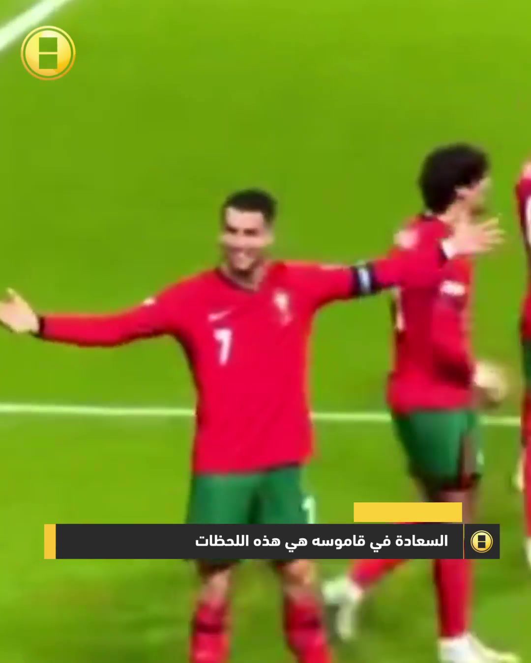 كأنه لاعب في العشرين من عمره.. إليكم كواليس الليلة التي توجها رونالدو بمقصية للتاريخ ضد بولندا!