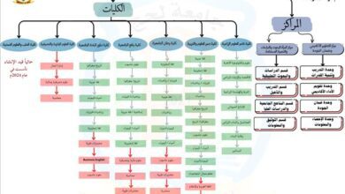 إدارة المعلومات بجامعة لحج تقوم بإعداد مخطط توضيحي لهيكل الجامعة