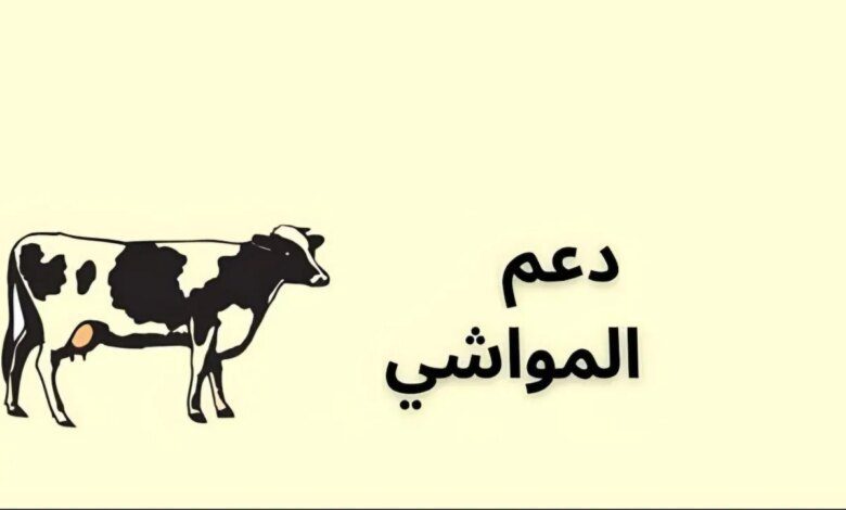 وزارة البيئة والمياه والزراعة تكشف عن موعد صرف دعم المواشي في السعودية لشهر نوفمبر 2024 وكيفية الاستعلام