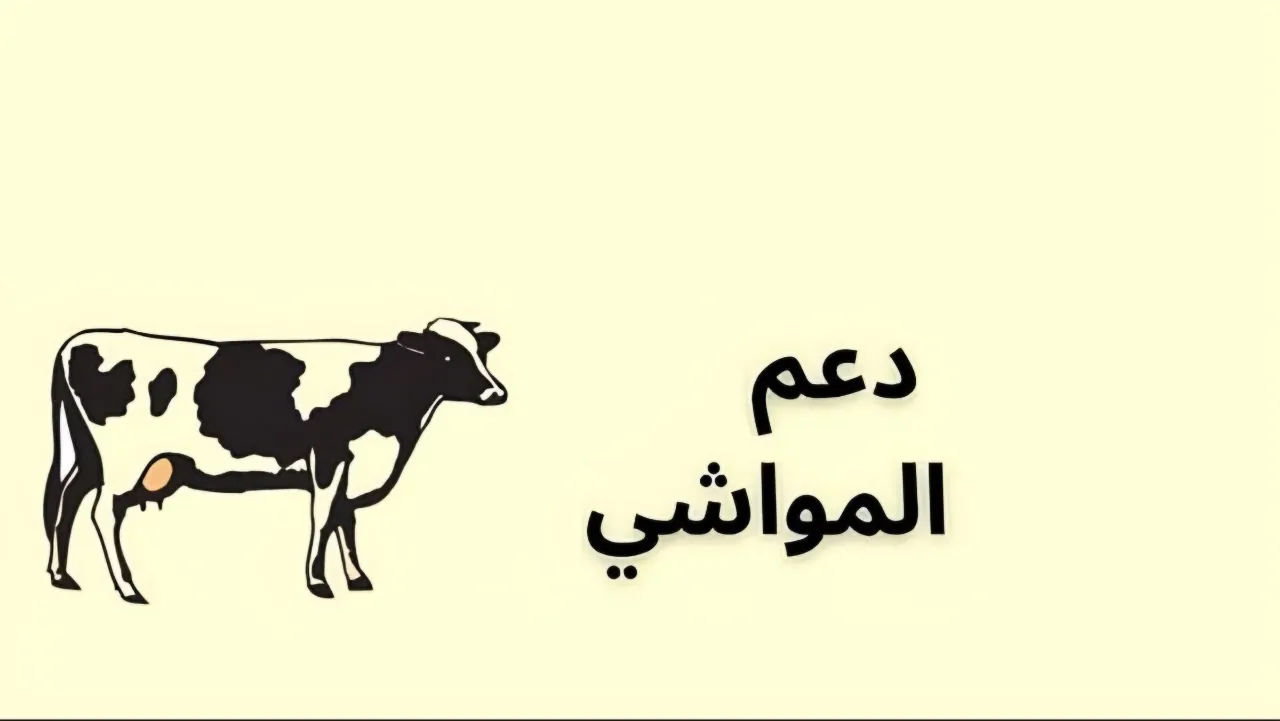 وزارة البيئة والمياه والزراعة تكشف عن موعد صرف دعم المواشي في السعودية لشهر نوفمبر 2024 وكيفية الاستعلام