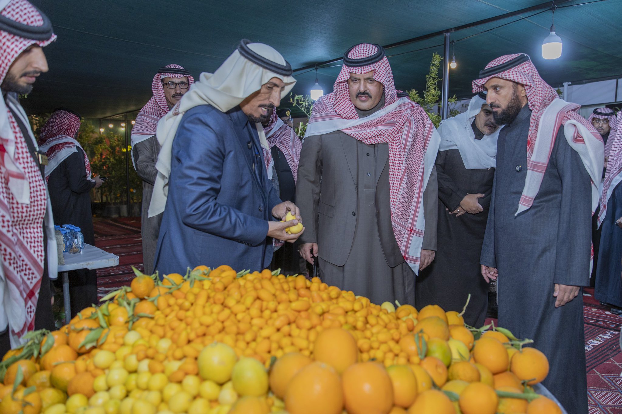 مهرجان "حمضيات حائل" يستقطب الزوار والسيّاح