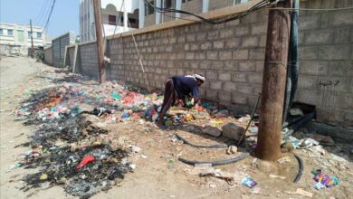 جهود تطوعية لحماية الكيبل الكهربائي في ثانوية الحصن بأبين