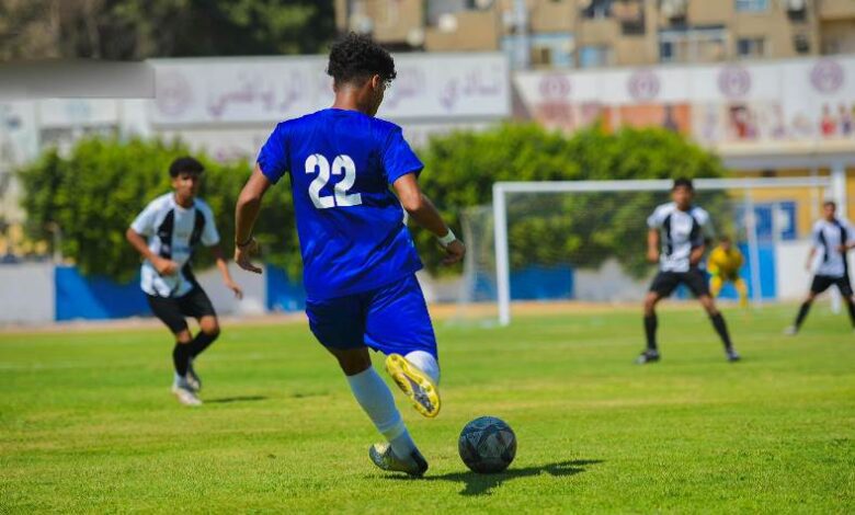 دوري المحترفين