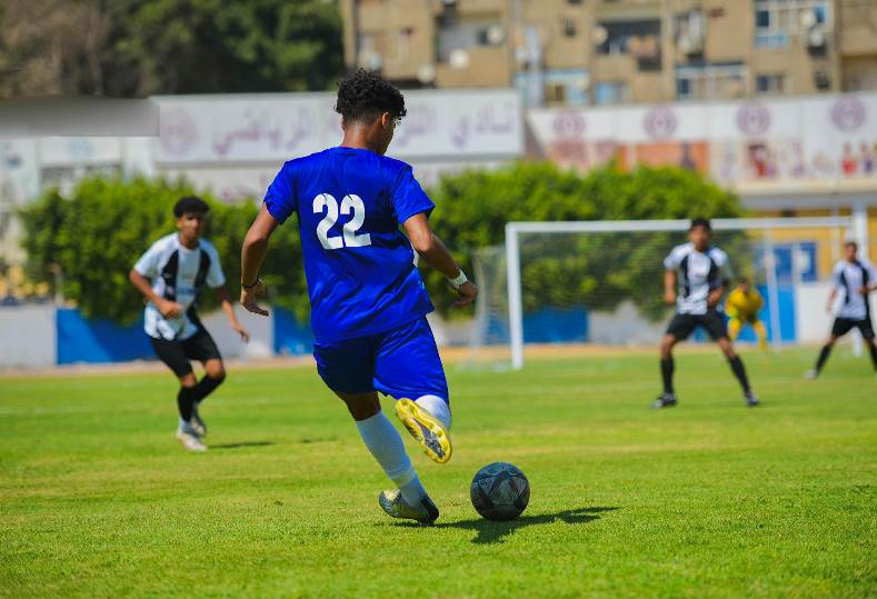 دوري المحترفين