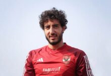 محمد هاني