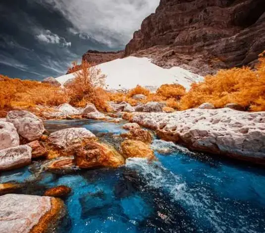 سقطرى-socotra-island-أغنى-بقاع-الأرض-بالتنوع-البيولوجي-والجزيرة-المباركة-التي-أسرها-الجمال-والأساطير