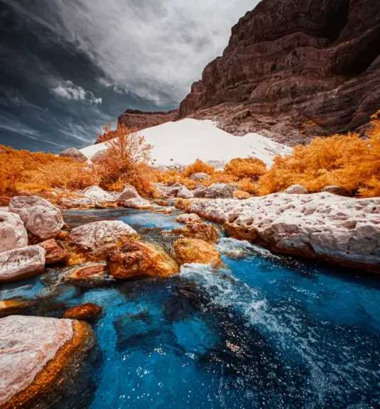 سقطرى-socotra-island-أغنى-بقاع-الأرض-بالتنوع-البيولوجي-والجزيرة-المباركة-التي-أسرها-الجمال-والأساطير