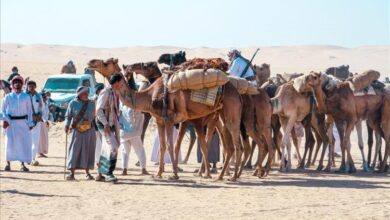 وسط مشاركة وتفاعل جماهيري غير مسبوق ..مهرجان التراث بوادي بلحارث بشبوة يتواصل لليوم الثاني