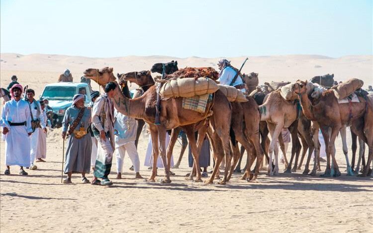 وسط مشاركة وتفاعل جماهيري غير مسبوق ..مهرجان التراث بوادي بلحارث بشبوة يتواصل لليوم الثاني