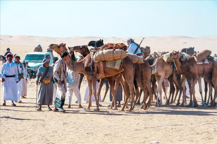 وسط مشاركة وتفاعل جماهيري غير مسبوق ..مهرجان التراث بوادي بلحارث بشبوة يتواصل لليوم الثاني