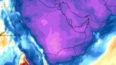 موجة-برد-شديدة-تضرب-اليمن-خلال-الأيام-القادمة-وصقيع-يطال-مزارع-المواطنين