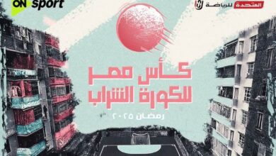 كأس مصر للكرة الشراب