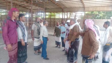 لقاء ونزول إلى الجمعية التعاونية لتسويق المنتجات الزراعية م/ أبين لإعادة تنشيطها وتفعيلها