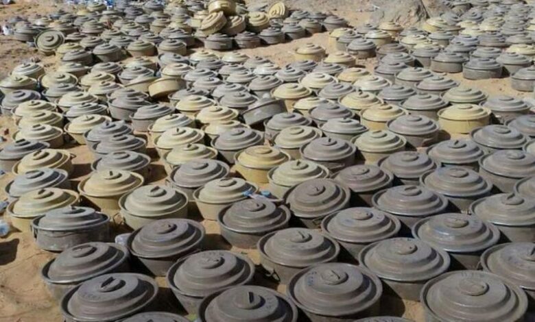 "مسام" يتلف 600 لغم وعبوة ناسفة في شبوة