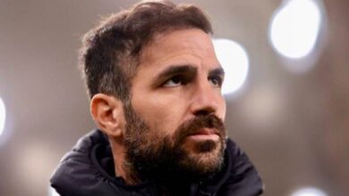 سيسك فابريجاس