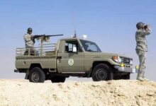 إحباط تهريب 105 كيلو حشيش مخدر بالمدينة المنورة