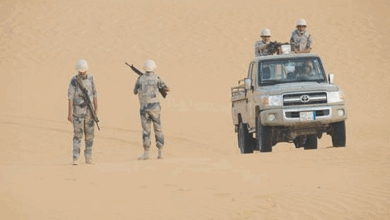إحباط تهريب 799 كجم مخدرات في جازان وعسير
