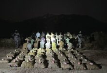 الإطاحة بـ24 مخالفًا لتهريبهم 801 كيلو قات بجازان
