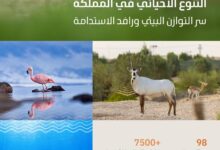 التنوع الأحيائي بالسعودية.. إرث طبيعي وركيزة للاستدامة وتوازن النظم البيئية