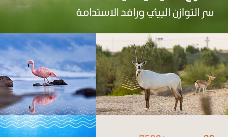 التنوع الأحيائي بالسعودية.. إرث طبيعي وركيزة للاستدامة وتوازن النظم البيئية
